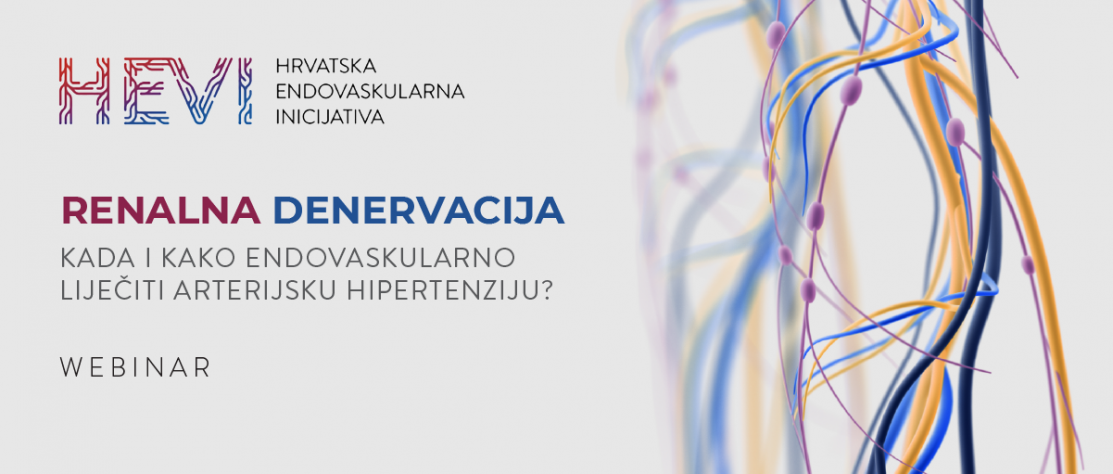 HEVI i HDH: RENALNA DENERVACIJA - Kada i kako endovaskularno liječiti arterijsku hipertenziju?